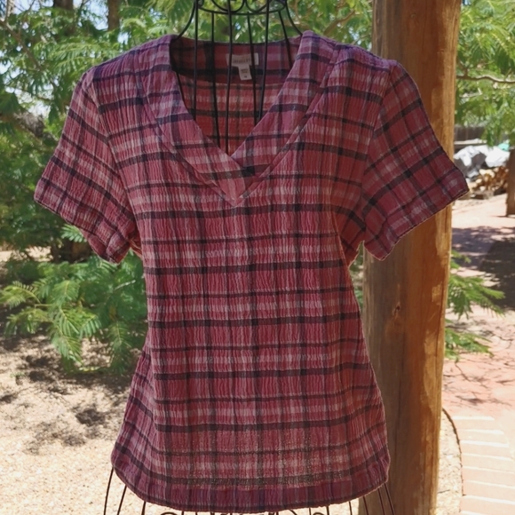Garnet Hill Tops - Garnet Hill top